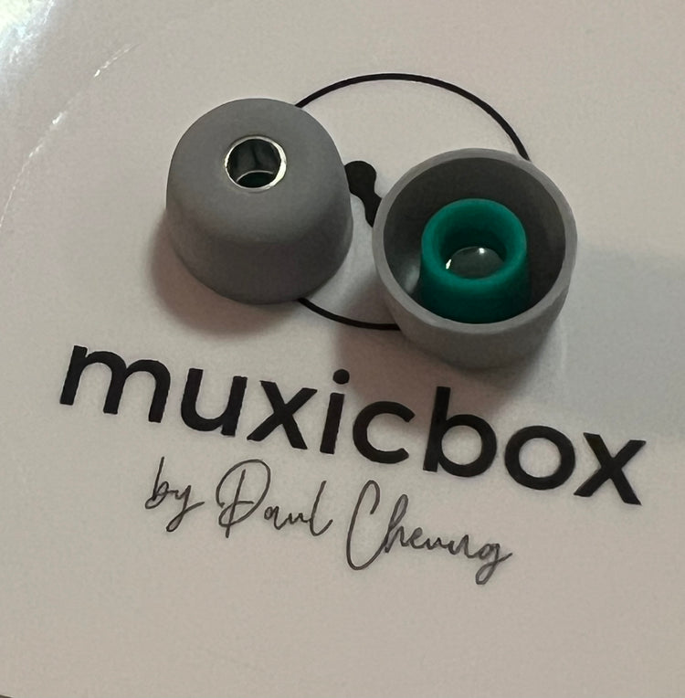 One Size Kit - Natural Harmonics 925 Silver Eartips