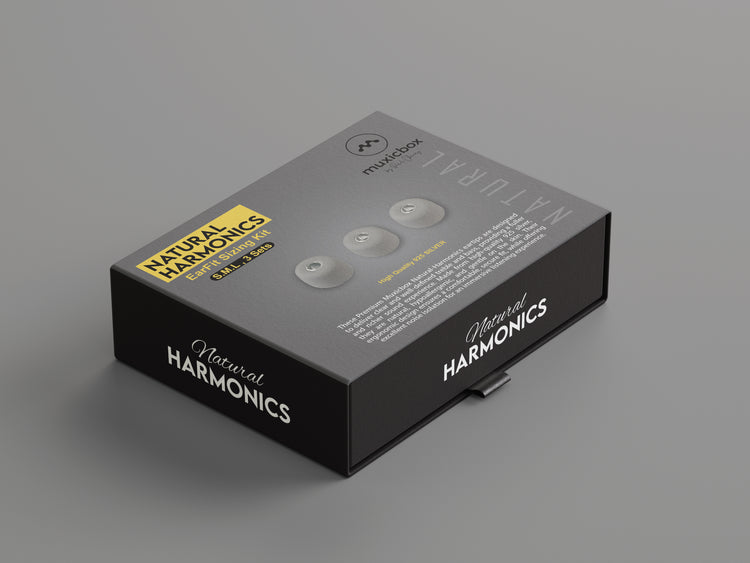 EarFit Sizing Kit - Natural Harmonics 925 Silver Eartips