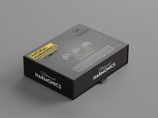 EarFit Sizing Kit - Natural Harmonics 925 Silver Eartips